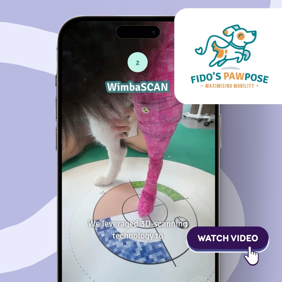 success story of Jacquelyn