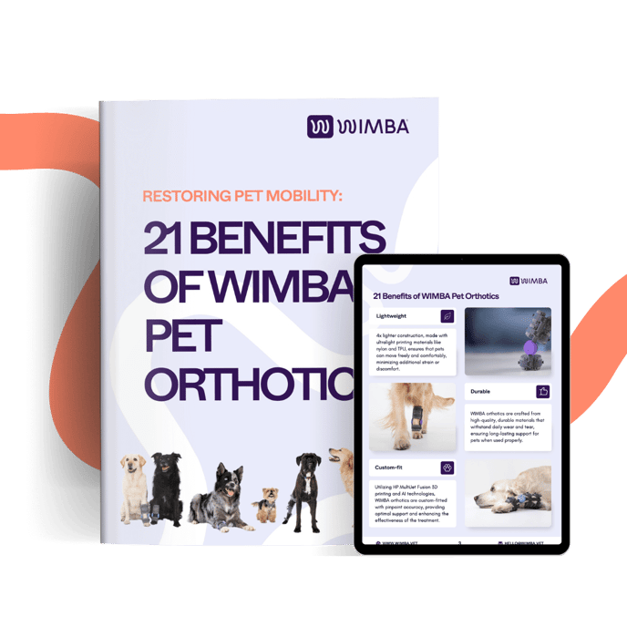 21-benefits-of-wimba