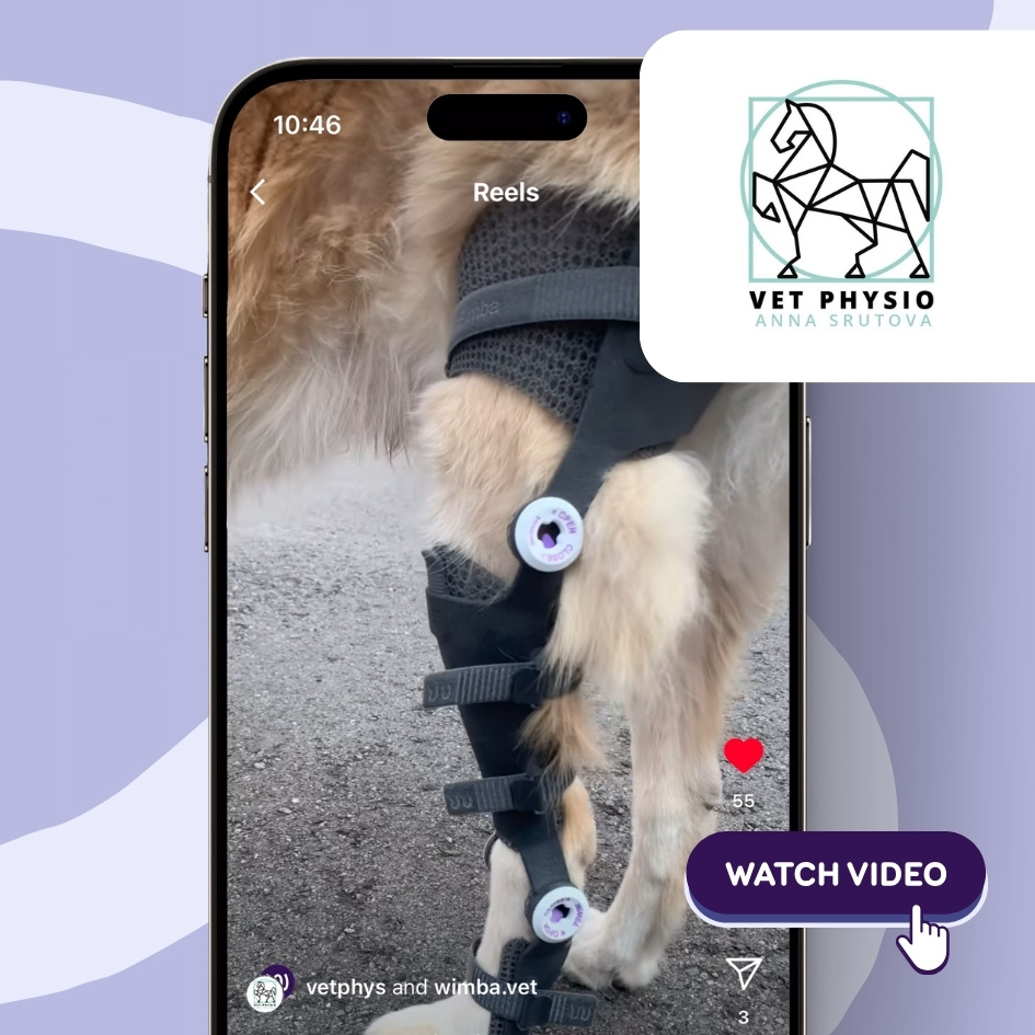 success story of Simba