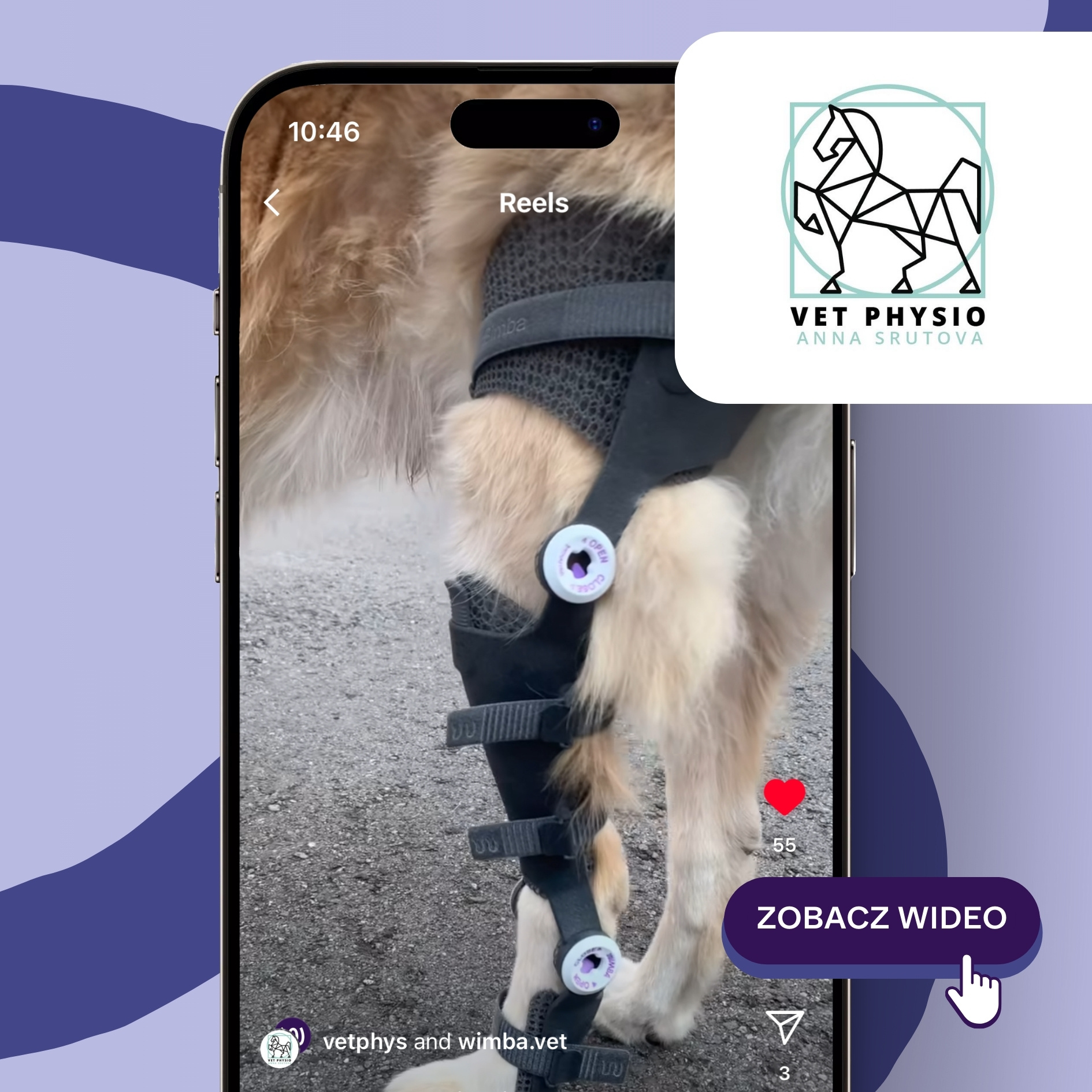 Anna Srutova i historia Simby wideo