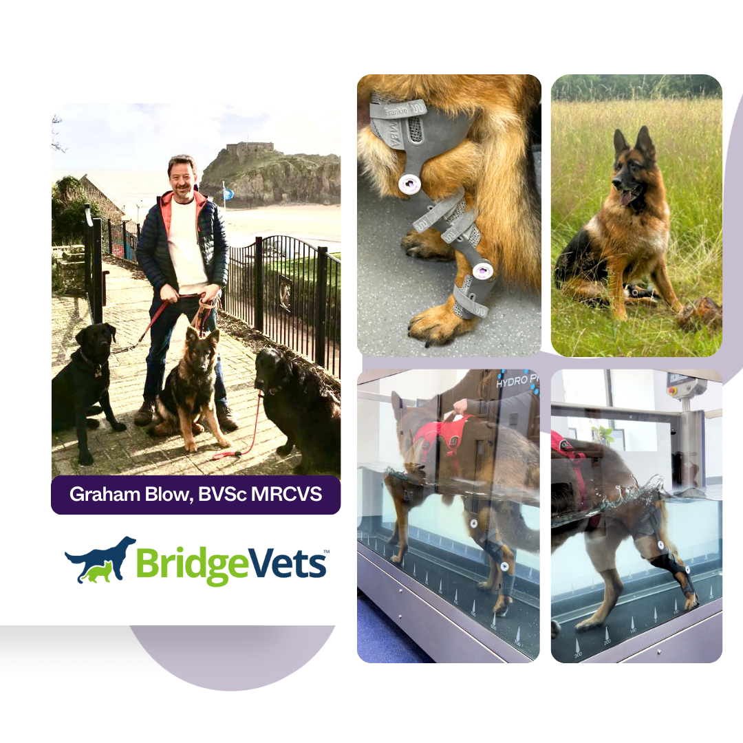 Graham Blow BVSc MRCVS-2