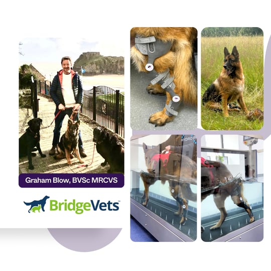 Graham Blow BVSc MRCVS-2