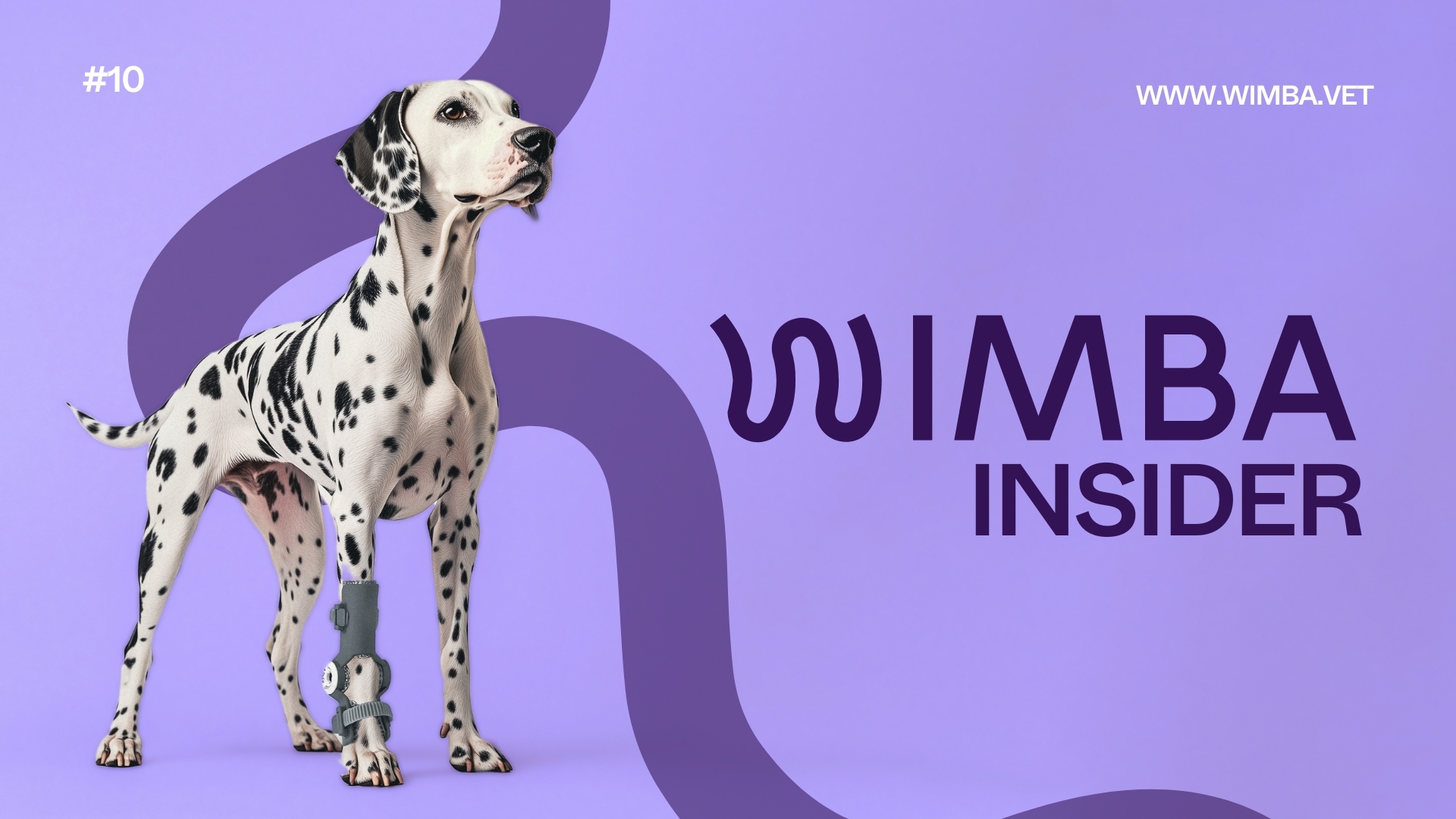 wimba insider hero image - issue 10