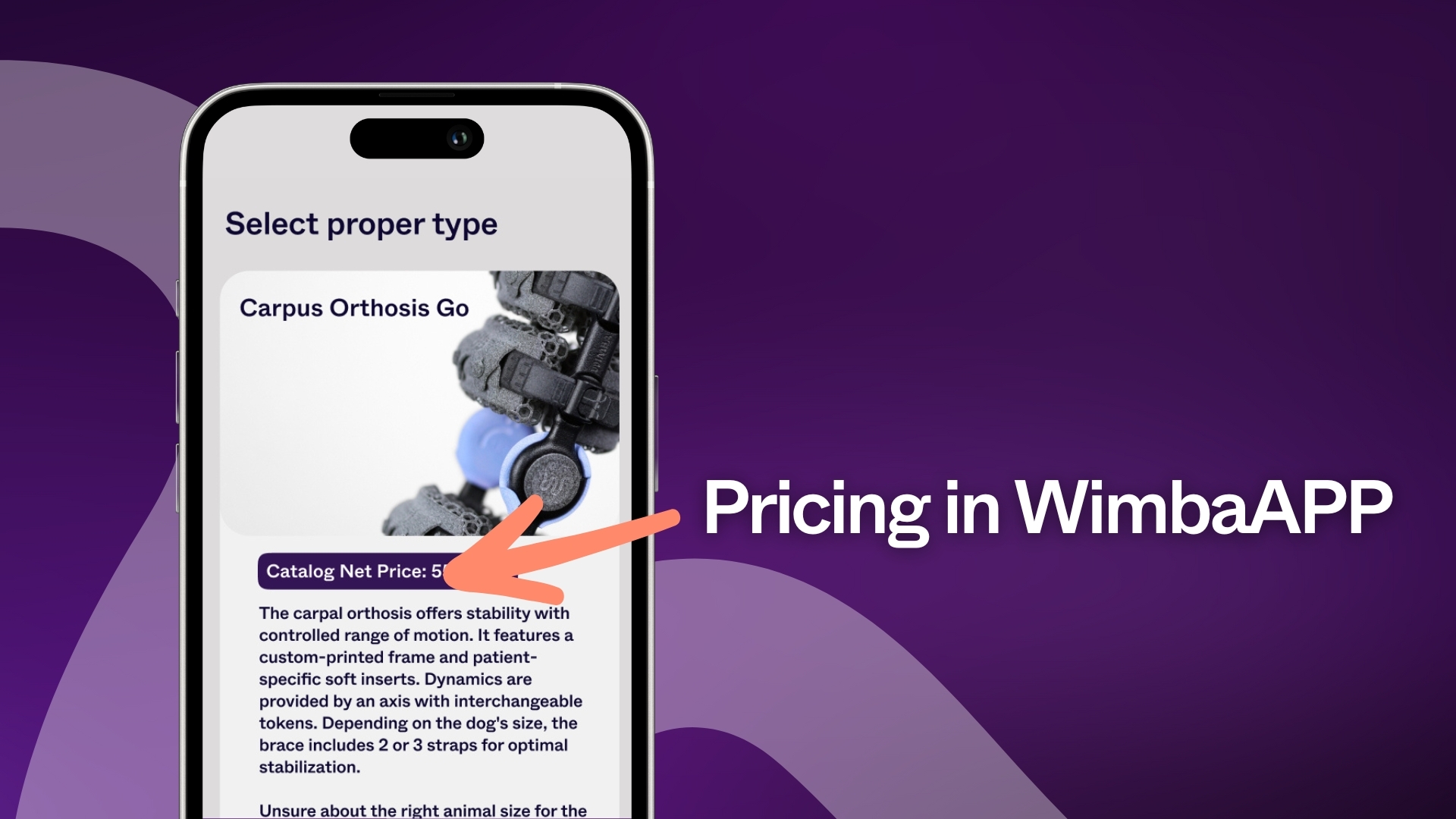 pricing in wimba app