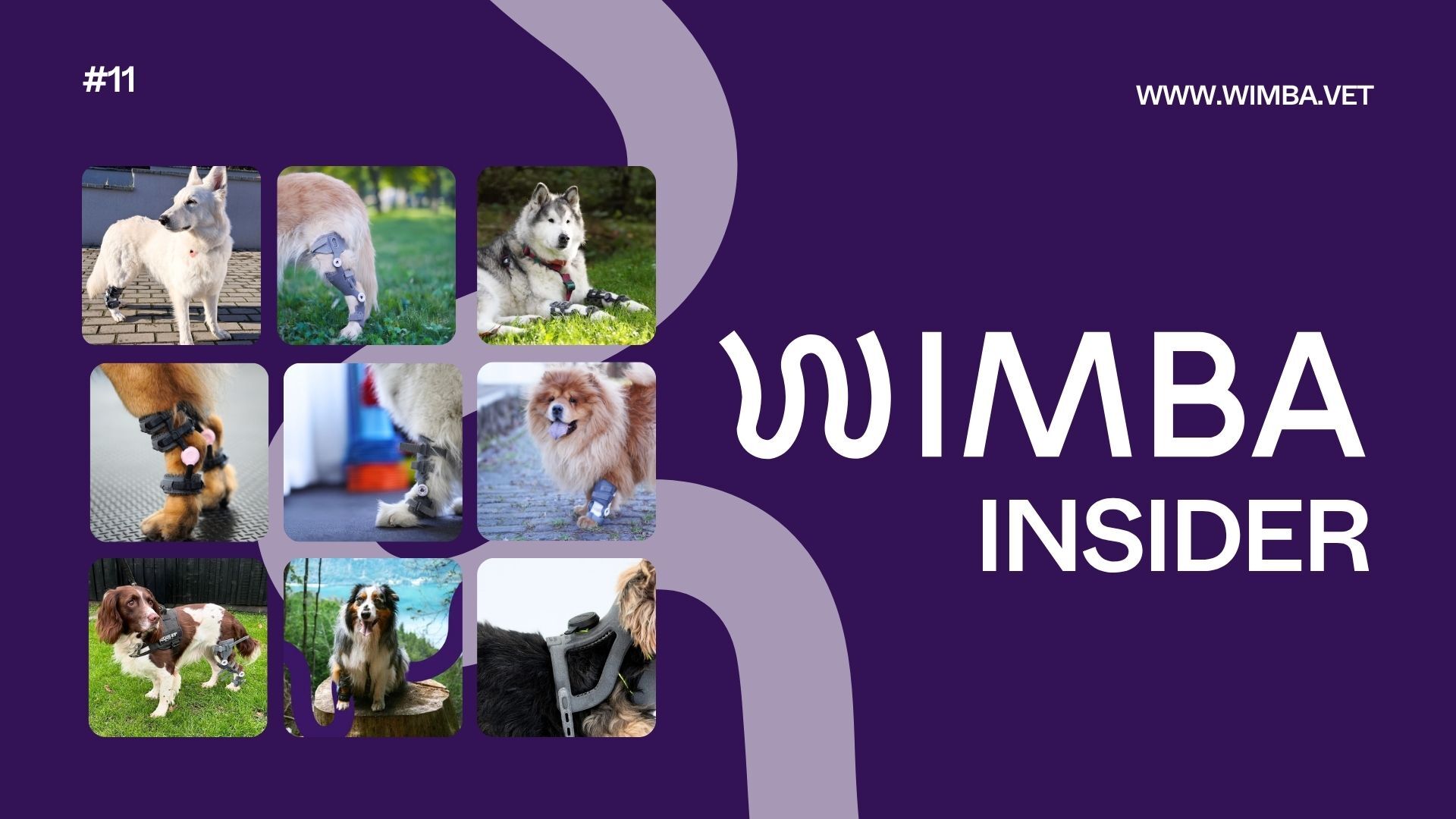 wimba insider hero image - issue 10