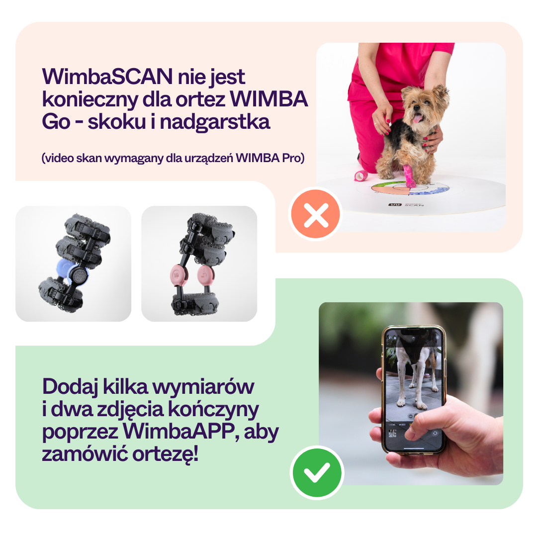 Ordering Made Easy with the New WimbaAPP en-1