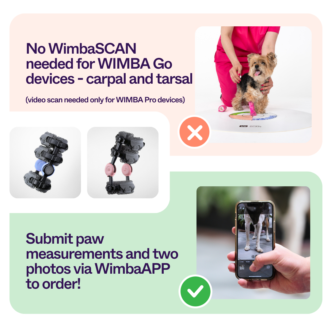 Ordering Made Easy with the New WimbaAPP pl-2