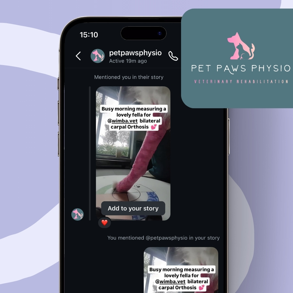 wimba scan by pet paws physio