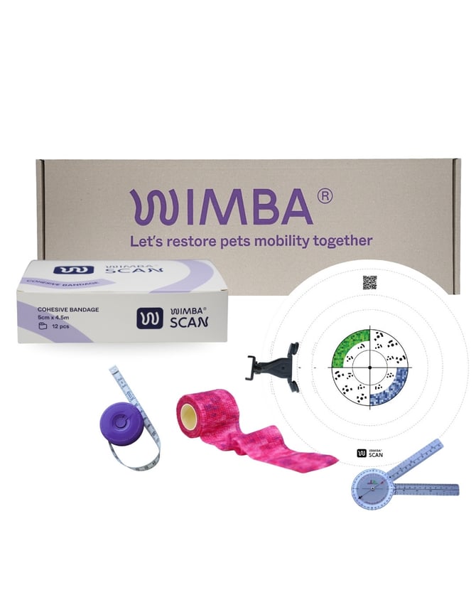 wimba box