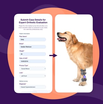 Xnip2024-11-15_14-51-37