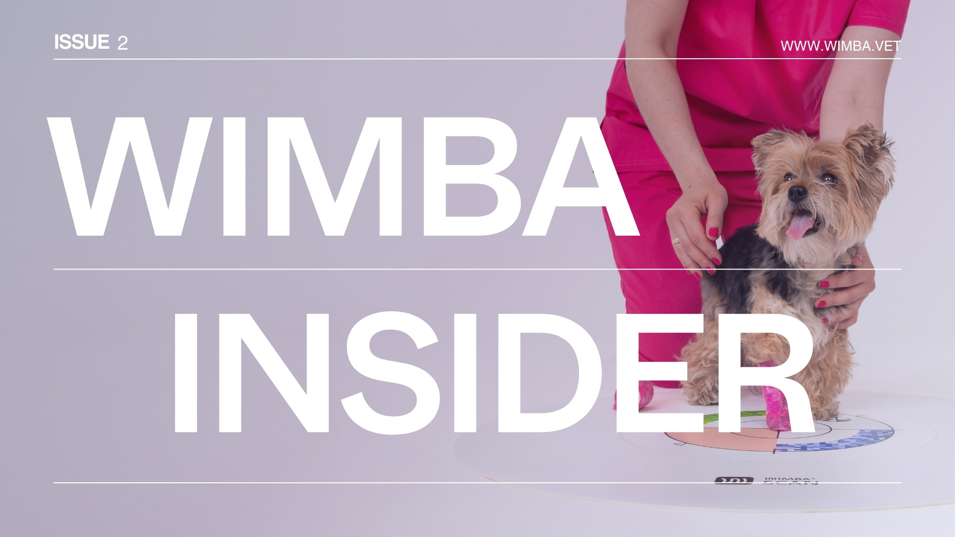 YouTube Thumbnails (13)