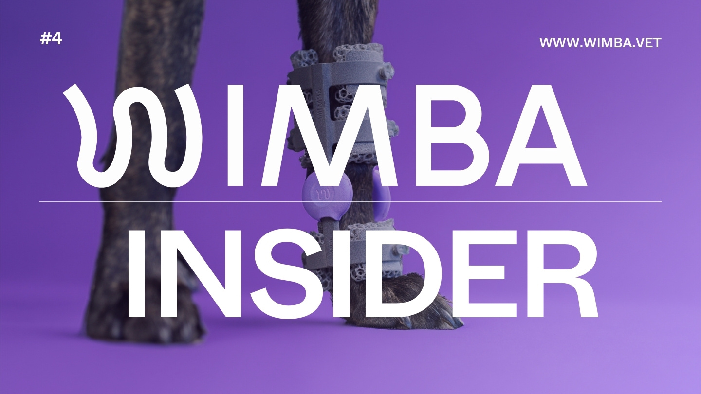 YouTube Thumbnails (14)