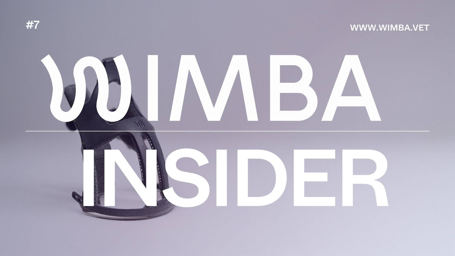 wimba insider issue 7