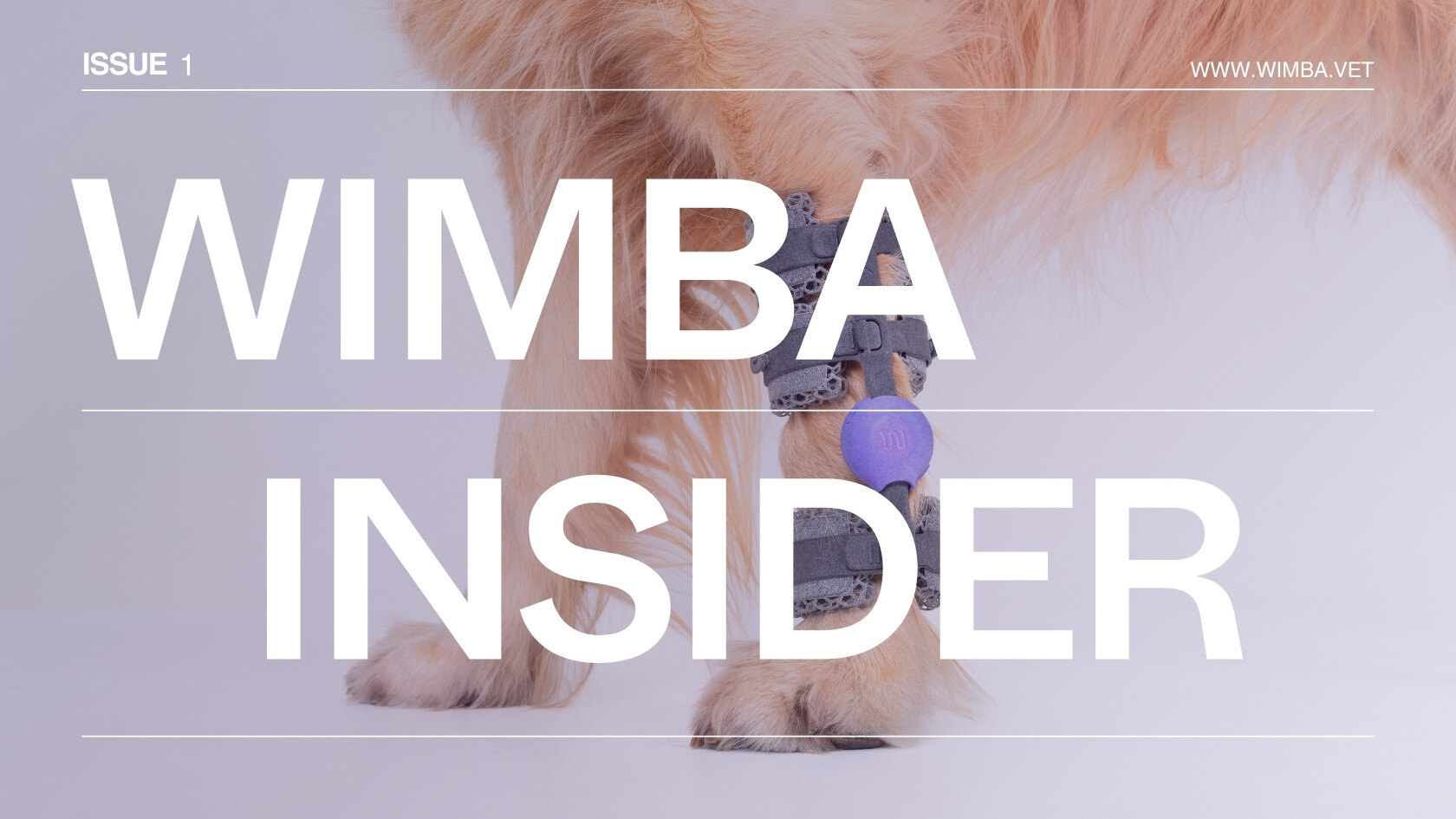 YouTube Thumbnails (8)