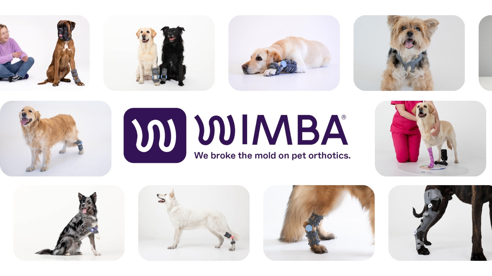 YouTube Thumbnails (9)