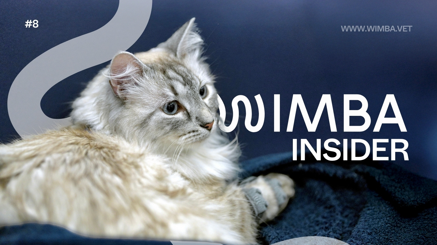 YouTube Thumbnails-1