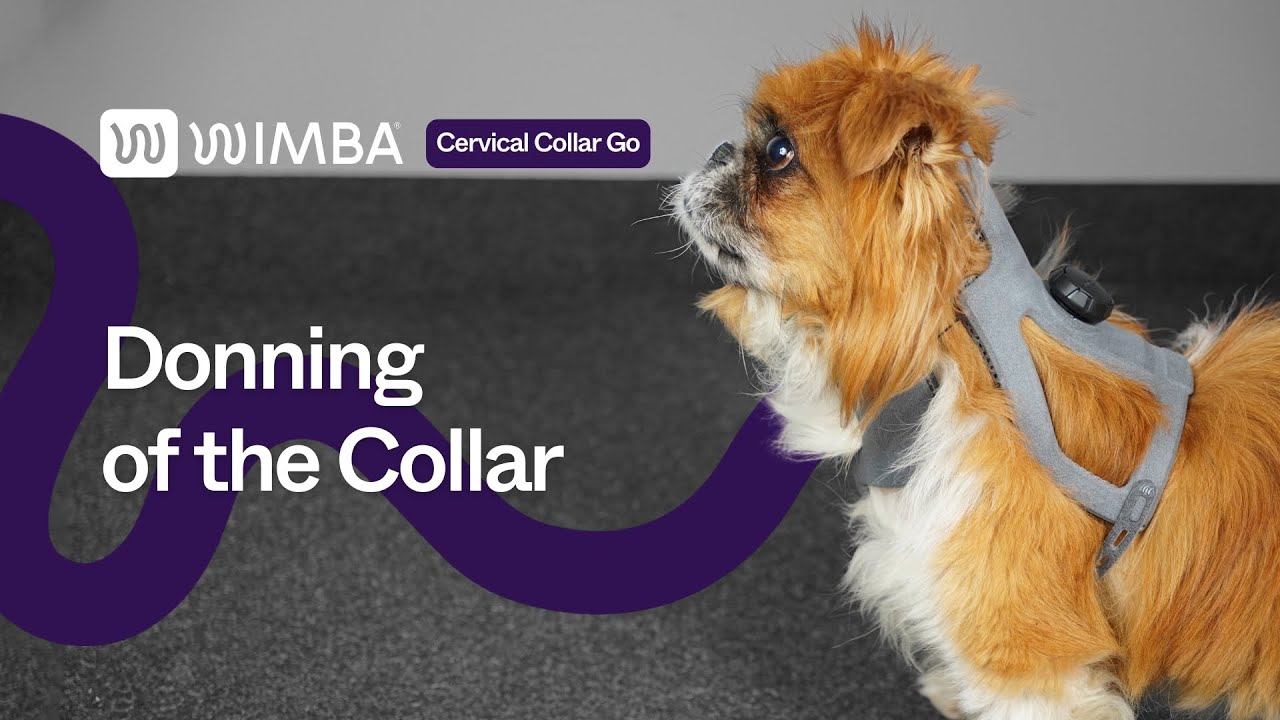 cervical collar donning tutorials