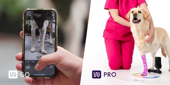 wimba measuremen acquisition - comparison between WIMBA Go and WIMBA Pro