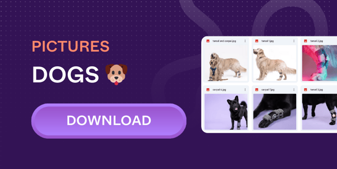 wimba-dogs